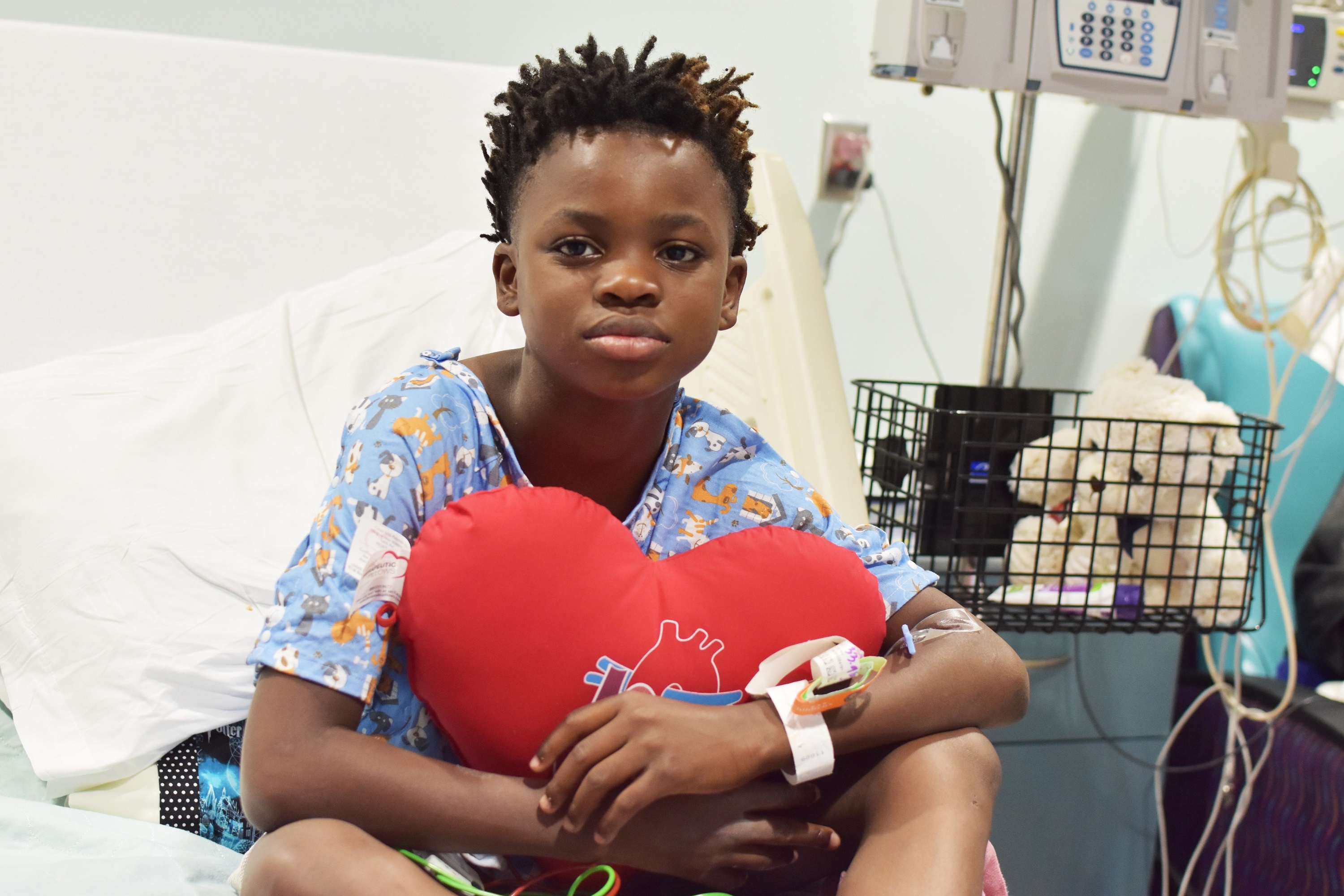 Cardiac Heart Pillows